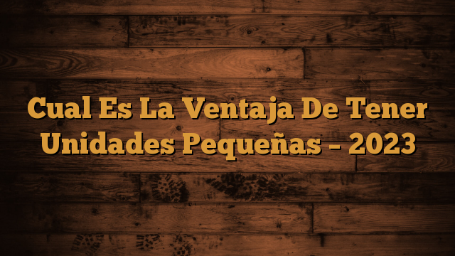 Cual Es La Ventaja De Tener Unidades Pequeñas – 2023