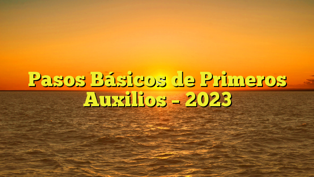 Pasos Básicos de Primeros Auxilios – 2023