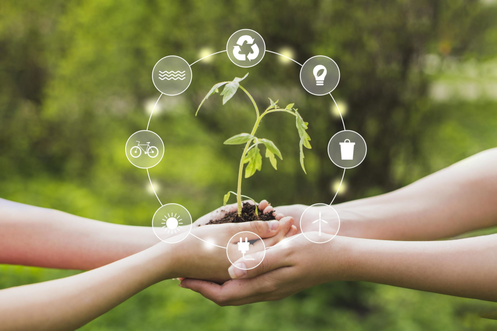 Sostenibilidad ambiental
